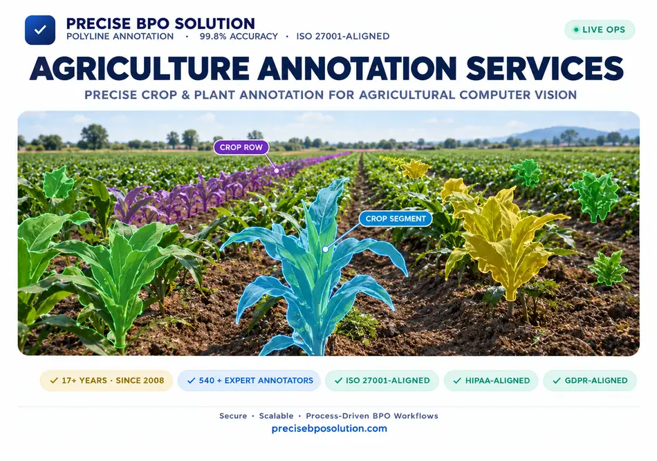 Agriculture annotation services — AI-labeled crop rows and plant segments on a farm field | Precise BPO Solution