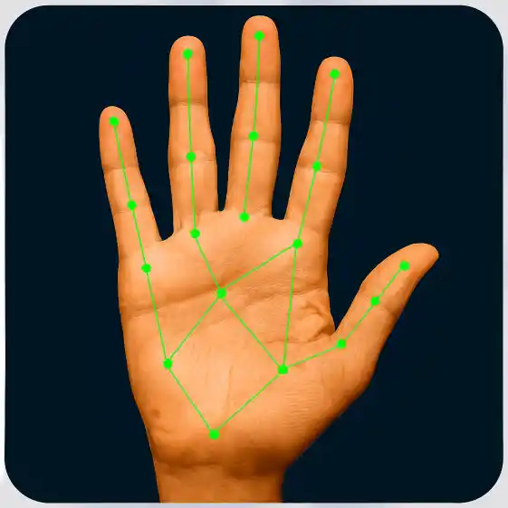 Hand landmark annotation and pose estimation capturing finger joints, knuckles, and hand contours for gesture, action, and movement AI.