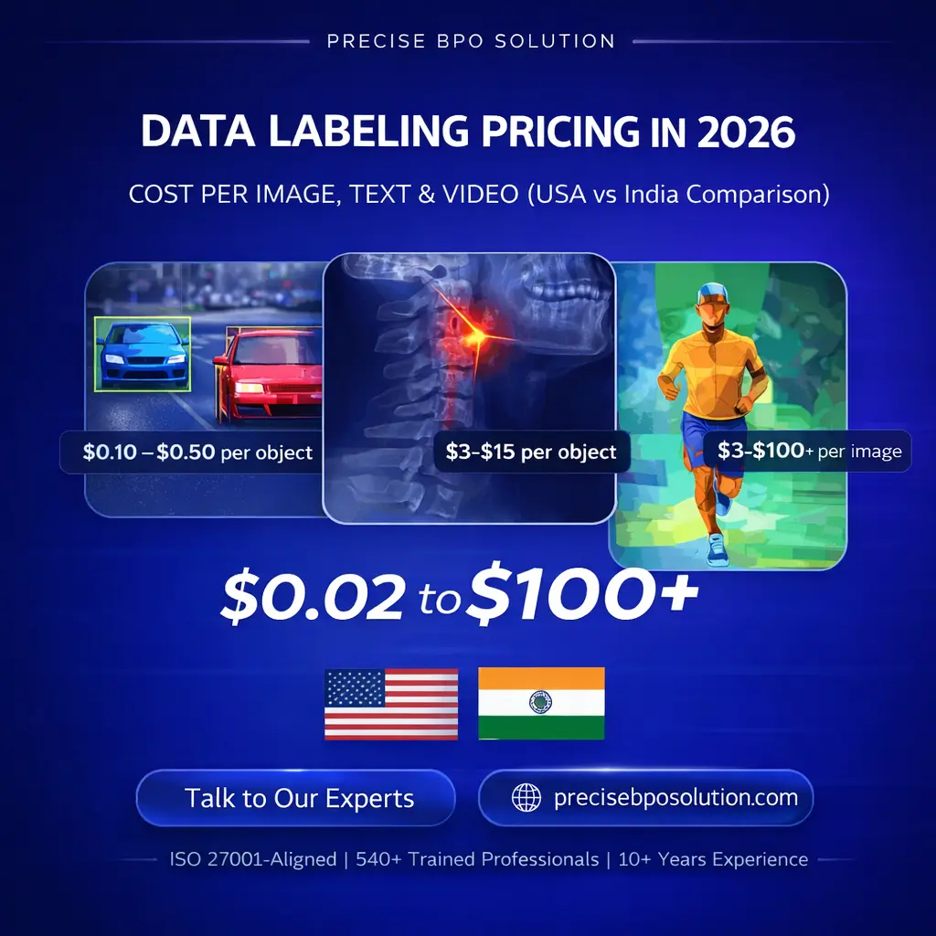 Data Labeling Pricing in 2026: Cost Per Image, Text & Video (USA vs India Comparison)
