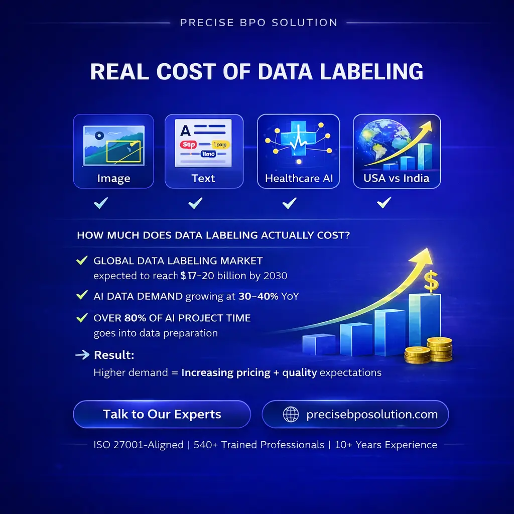 The Real Cost of Data Labeling in 2026